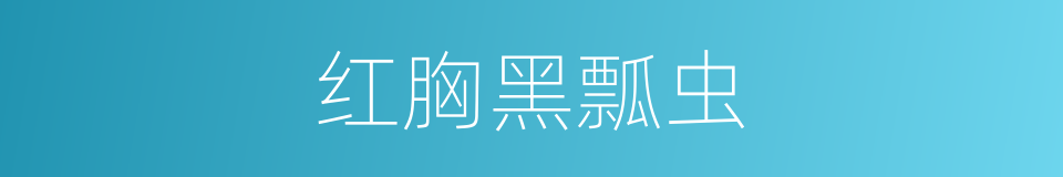 红胸黑瓢虫的同义词