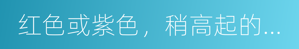 红色或紫色，稍高起的丘疹或结节的同义词