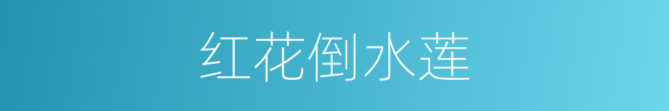 红花倒水莲的同义词