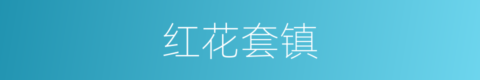 红花套镇的同义词