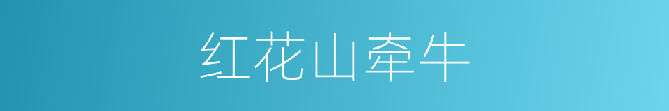 红花山牵牛的同义词