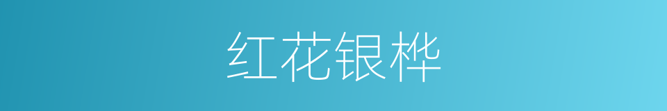 红花银桦的同义词