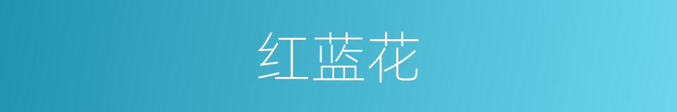 红蓝花的同义词