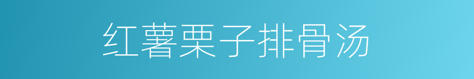 红薯栗子排骨汤的同义词