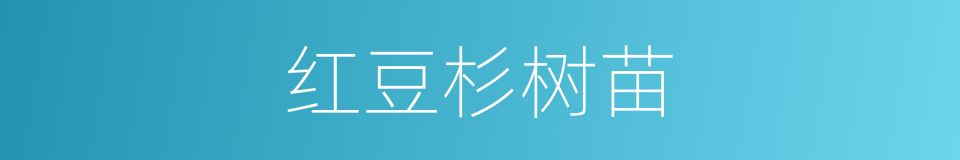 红豆杉树苗的同义词