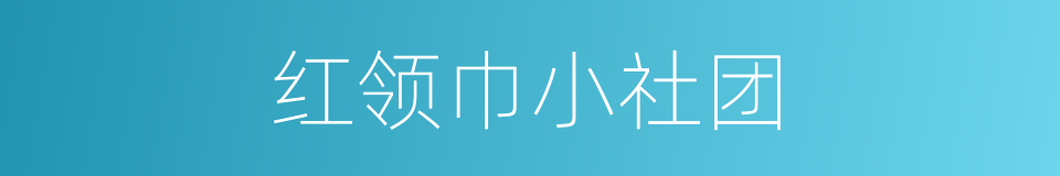 红领巾小社团的同义词