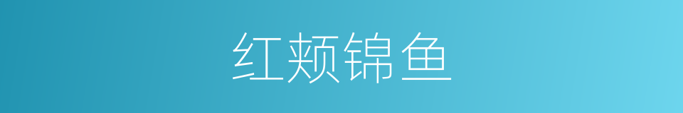 红颊锦鱼的同义词