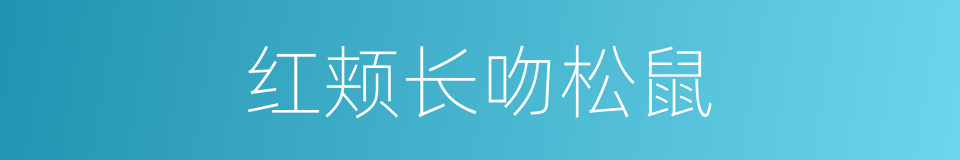 红颊长吻松鼠的同义词