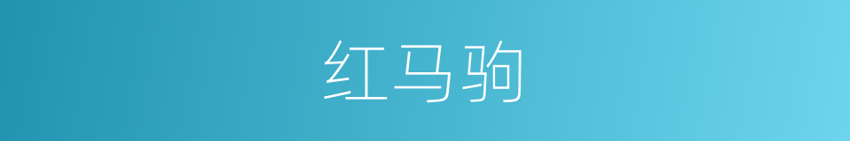 红马驹的同义词