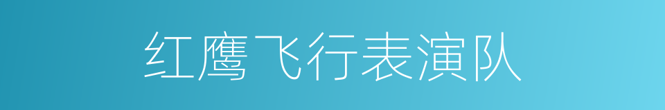 红鹰飞行表演队的同义词