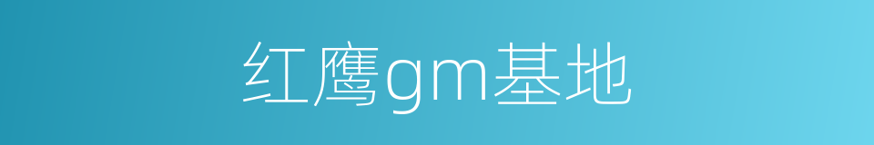 红鹰gm基地的同义词