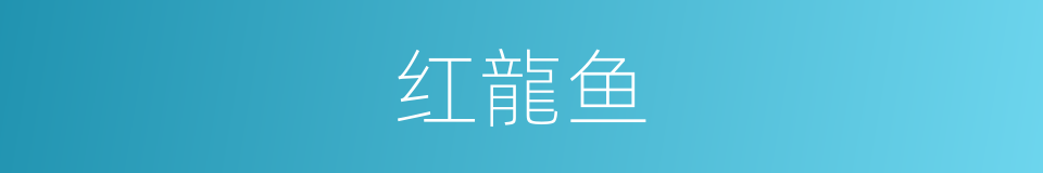 红龍鱼的同義詞