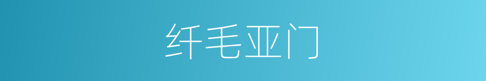 纤毛亚门的同义词
