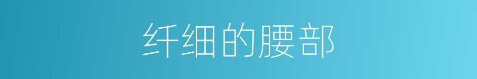 纤细的腰部的同义词