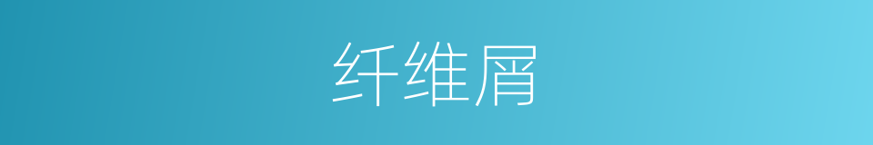 纤维屑的同义词