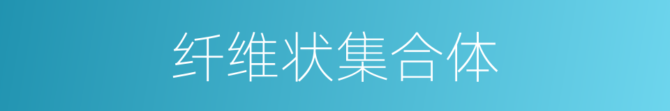 纤维状集合体的同义词