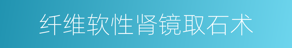 纤维软性肾镜取石术的同义词