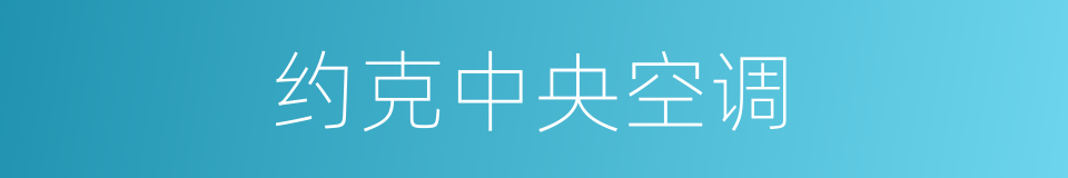 约克中央空调的同义词