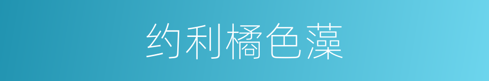 约利橘色藻的同义词