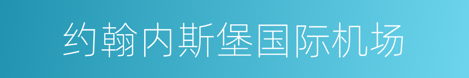 约翰内斯堡国际机场的同义词