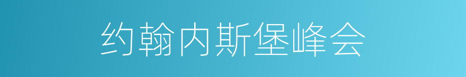 约翰内斯堡峰会的同义词