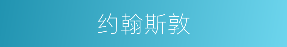 约翰斯敦的同义词