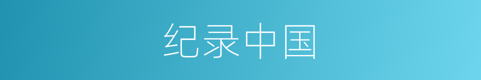 纪录中国的同义词