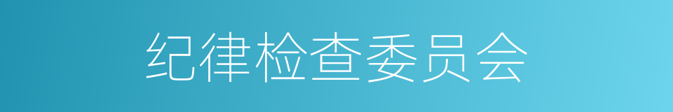 纪律检查委员会的同义词