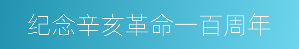 纪念辛亥革命一百周年的同义词