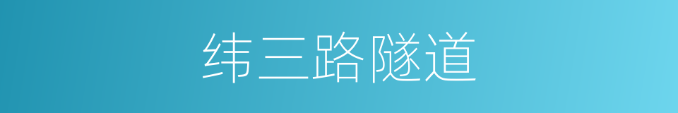 纬三路隧道的同义词