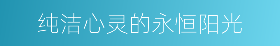 纯洁心灵的永恒阳光的同义词