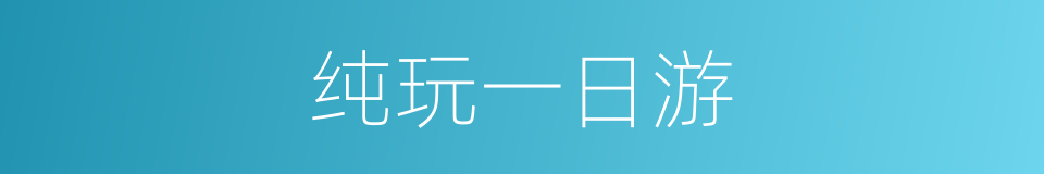 纯玩一日游的同义词