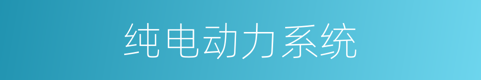 纯电动力系统的同义词