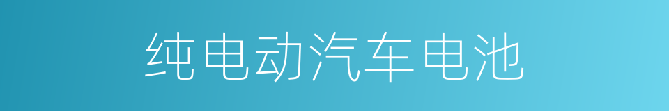 纯电动汽车电池的同义词