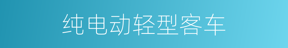 纯电动轻型客车的同义词