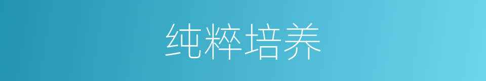 纯粹培养的同义词