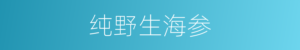 纯野生海参的同义词