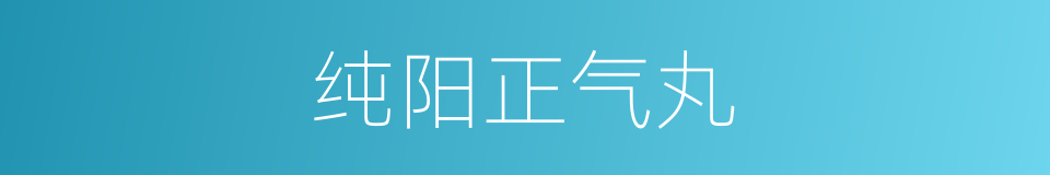 纯阳正气丸的同义词