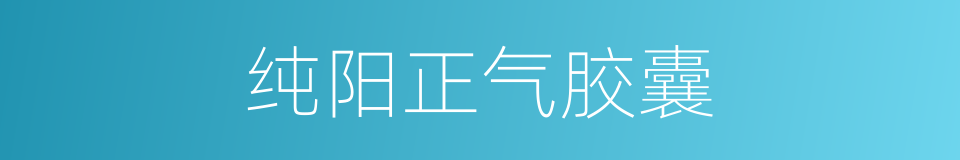 纯阳正气胶囊的同义词