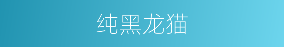 纯黑龙猫的同义词