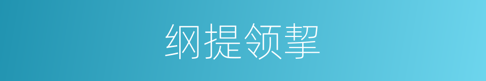 纲提领挈的意思