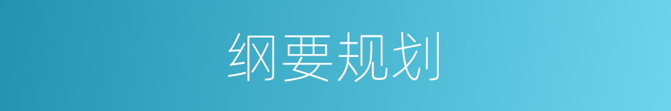 纲要规划的同义词