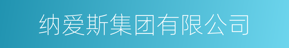 纳爱斯集团有限公司的同义词