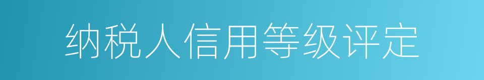 纳税人信用等级评定的同义词