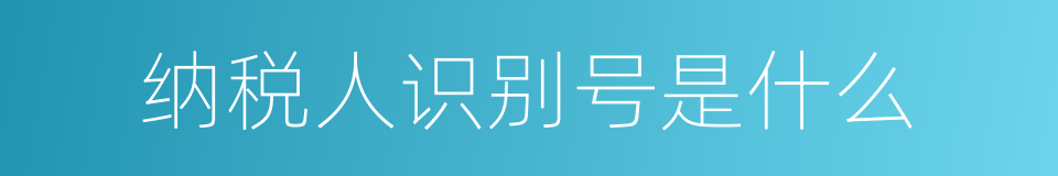 纳税人识别号是什么的同义词