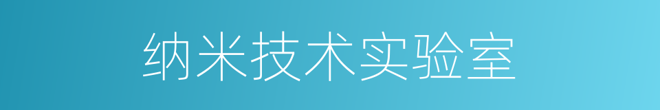 纳米技术实验室的同义词