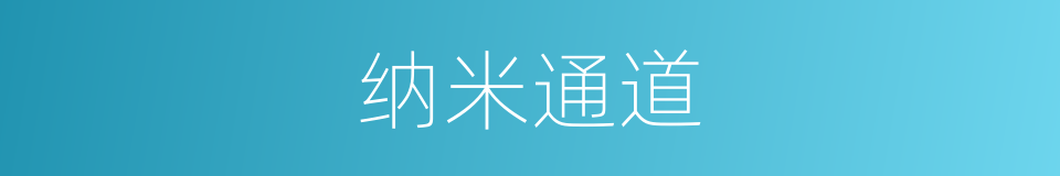 纳米通道的同义词