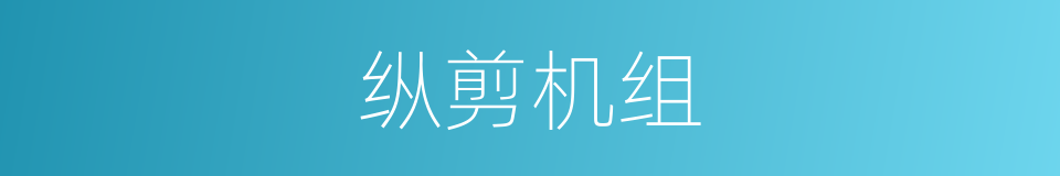 纵剪机组的同义词