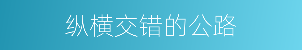 纵横交错的公路的同义词
