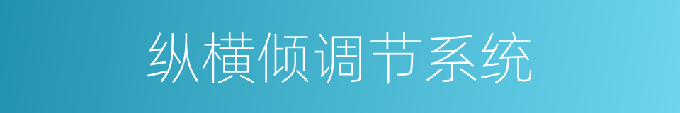纵横倾调节系统的同义词